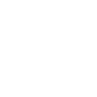 Company Mission